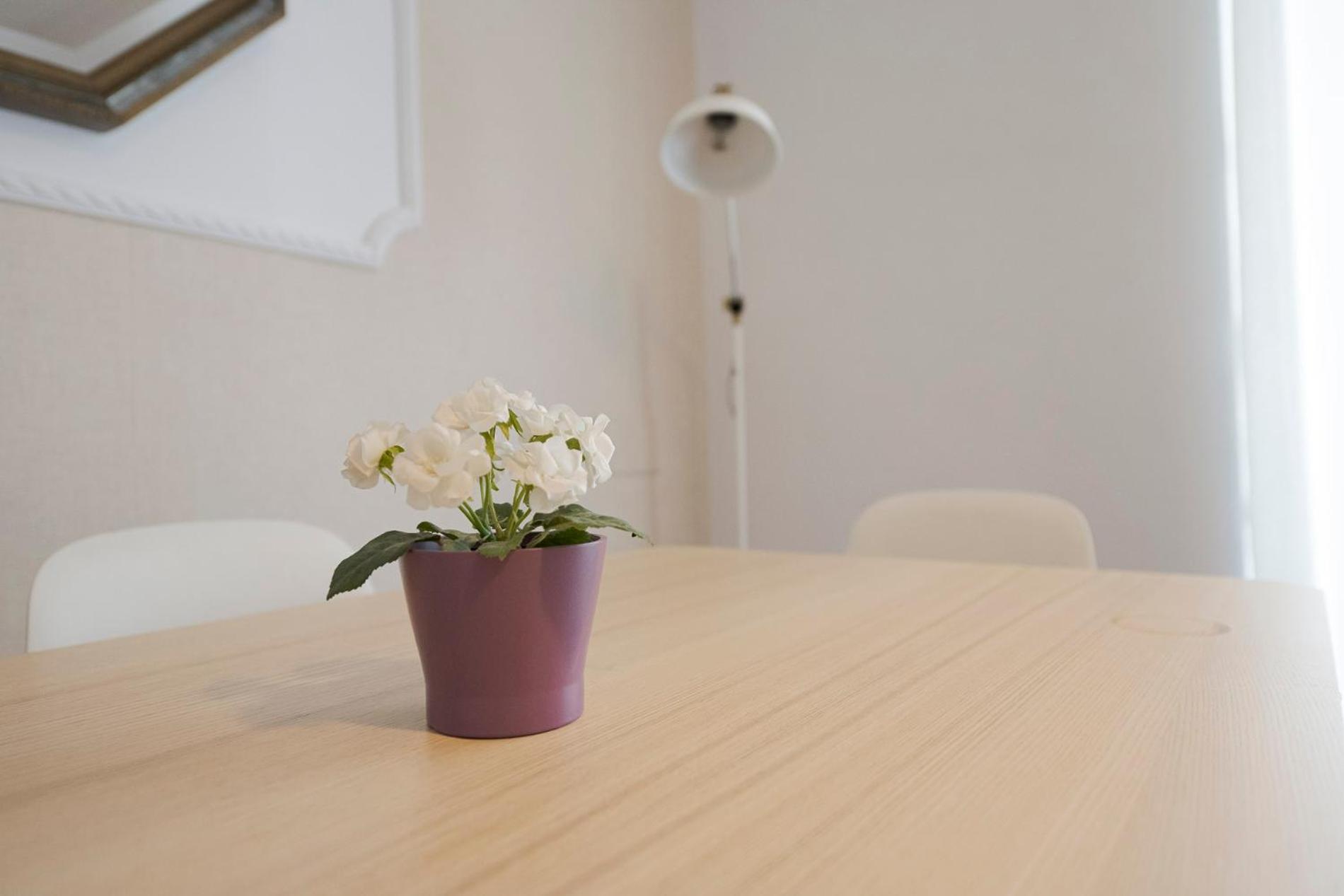 Apartamento Victoria En El Centro De サン・セバスティアン エクステリア 写真